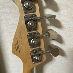 FUJIGEN(FGN)の画像
