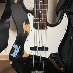 FUJIGEN(FGN)の画像