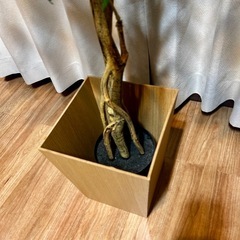 大型フェイクグリーン🌿‬150cm観葉植物ガーデニングの画像