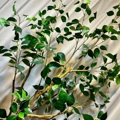 大型フェイクグリーン🌿‬150cm観葉植物ガーデニングの画像