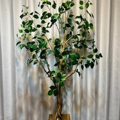 大型フェイクグリーン🌿‬150cm観葉植物ガーデニングの画像