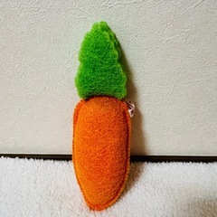 野菜スポンジ 洗っちゃい菜 へちまスポンジ 食器スポンジ 演劇の画像