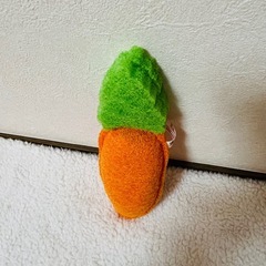 野菜スポンジ 洗っちゃい菜 へちまスポンジ 食器スポンジ 演劇の画像