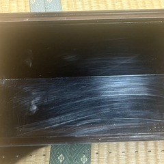 爬虫類ケースの画像