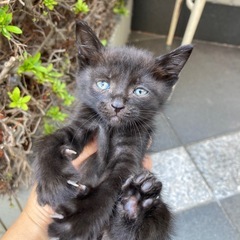 岡山市保健所⭐︎おっとりとした女の子！