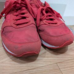 トレーニングシューズ 24.0cmの画像