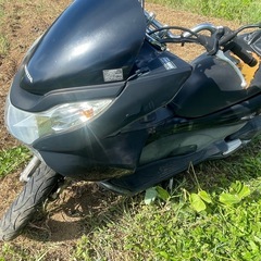 PCX125 実働の画像