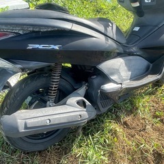 PCX125 実働の画像