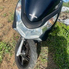 PCX125 実働の画像