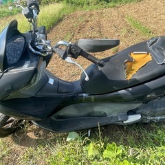 PCX125 実働の画像