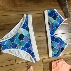 ビキニセットの画像