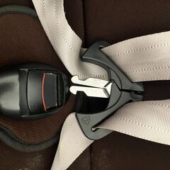 チャイルドシート Neddyの画像