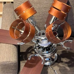 照明　シーリングファンライト(ブラウン)の画像