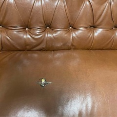 ソファーの画像
