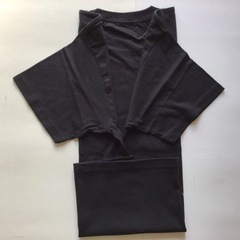 【新品未使用】ピースボート 世界一周 Tシャツ Lサイズの画像