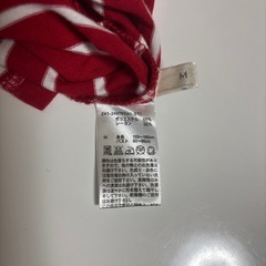 レディースTシャツの画像
