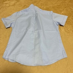 スクール用カッターシャツの画像