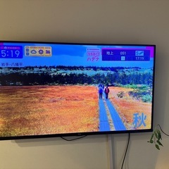 液晶テレビの画像