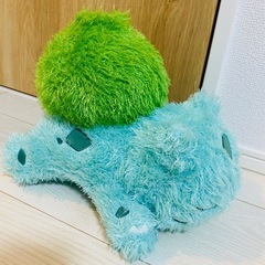 フシギダネ✨新品の画像