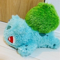 フシギダネ✨新品の画像