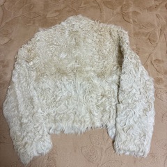 羊の毛皮ジャケットの画像
