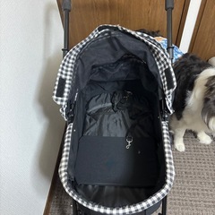 ぺっとかーとペの画像