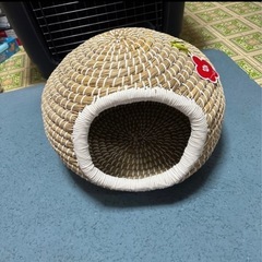 猫ハウスの画像