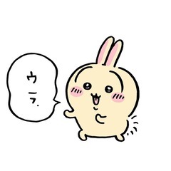 高山市について知りたいです。