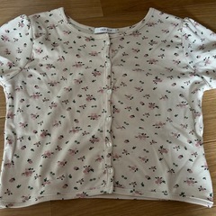 クロップド丈Tシャツの画像