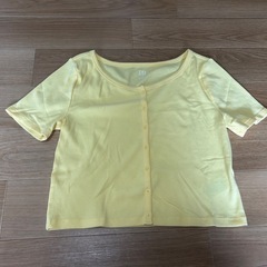 クロップド丈Tシャツの画像