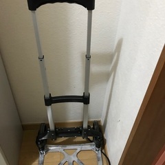 ハンドキャリー？の画像