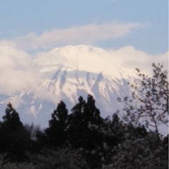 まあまあ年齢層高め？通話グルチャ