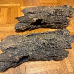 爬虫類 両生類 隠れ家 シェルター オブジェ 大の画像
