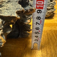 爬虫類 両生類 隠れ家 シェルター オブジェ 大の画像