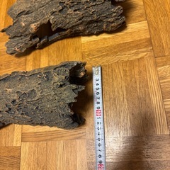 爬虫類 両生類 隠れ家 シェルター オブジェ 大の画像