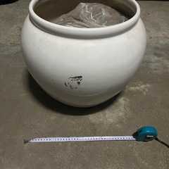 植木鉢(白)の画像