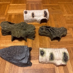 爬虫類 両生類 シェルター 5個セットの画像