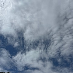 年上の友達が欲しいです！