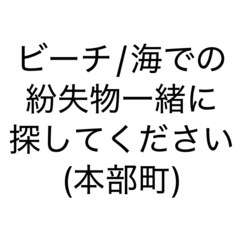 本部町のビーチ/海で一緒に失くし物を探してくれる方