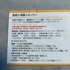 箱根ユネッサン　大人２名分無料チケットの画像