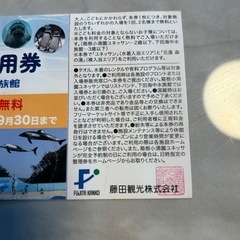 箱根ユネッサン　大人２名分無料チケットの画像