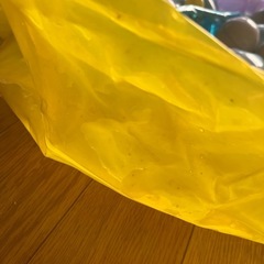 ボールプール☀️の画像