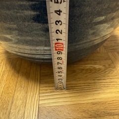睡蓮鉢の画像