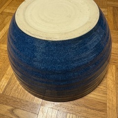 睡蓮鉢の画像