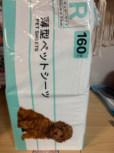 モモンガ飼育セット