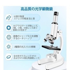 顕微鏡の画像