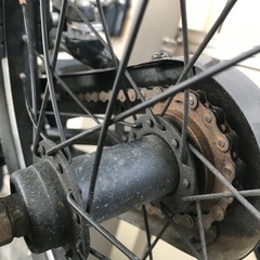 トレック　precaliber 16 子供用自転車の画像