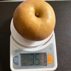 下妻産　豊水なし　大小/1000円　４kg　の画像
