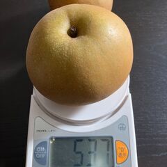 下妻産　豊水なし　大小/1000円　４kg　の画像