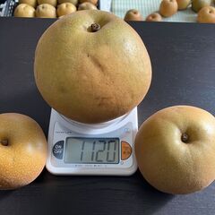 下妻産　豊水なし　大小/1000円　４kg　の画像